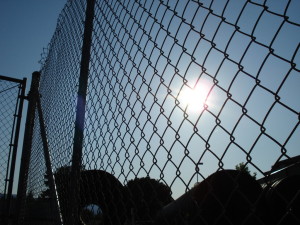 chainlink fence 1