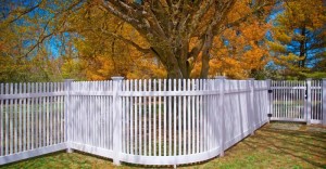 Curved Fence