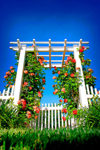 illusions-vinyl-fence-pergola