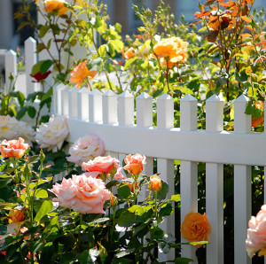 illusions_curved_vinyl_fence