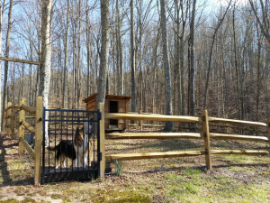 wood and iron fence