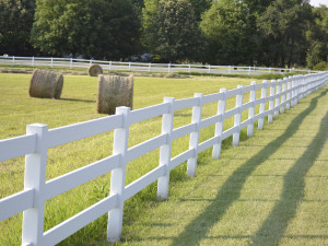White country fence boarding a pasture